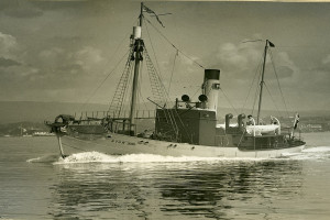 STAR XVIII