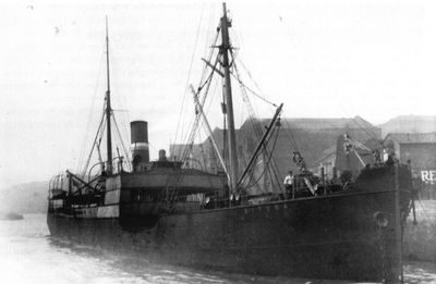 SITONA (1)