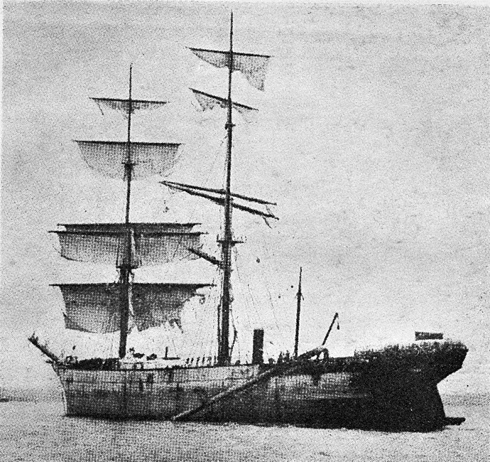 VIGO (1)