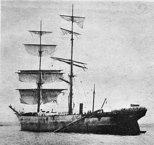 VIGO (1)