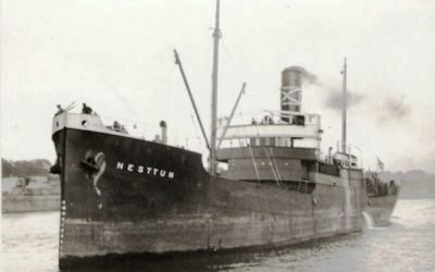 NESTTUN