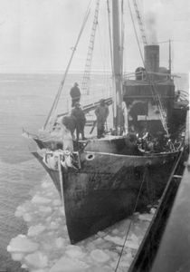 VESTFOLD V (ex FJORD)