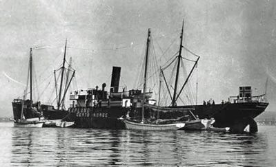 KAPLAND (I)