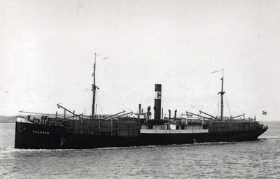 KAPLAND (II)