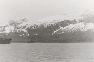 PETREL