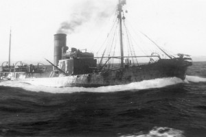 SKUA