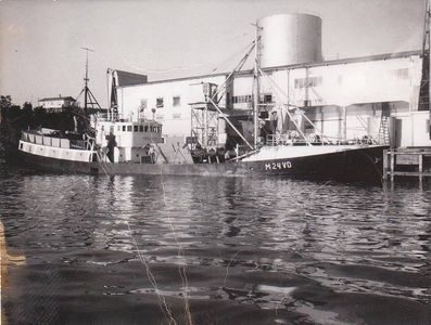 VESTFOLD VII (ex FØIK)