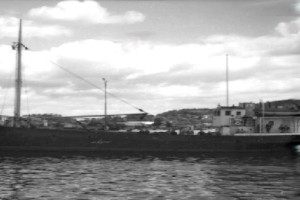 LØVEN III