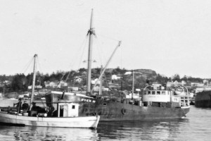 LØVEN III