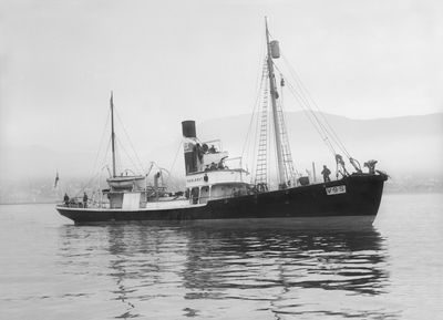 VESLEGUT (V-9-S)