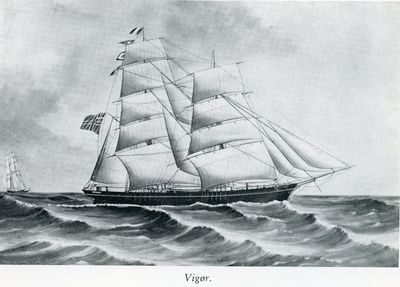 VIGOR