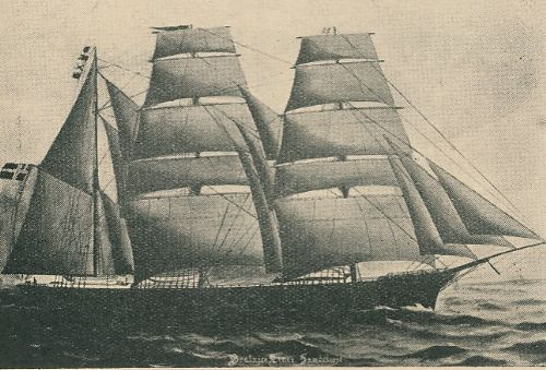 BEATRICE LINES
