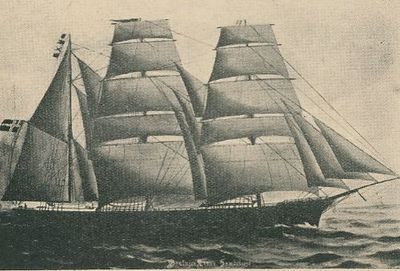 BEATRICE LINES